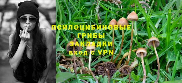 первитин Армянск